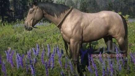 Localização 2 Cavalos Mustangue em Red Dead Redemption 2 #reddeadredem