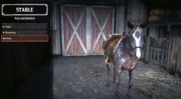 EU AMARRADO VENDO O LVL 200 MATAR MEU CAVALO #rdr2 #rdronline #rdr2onl