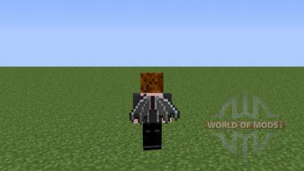 Survival Wings para Minecraft