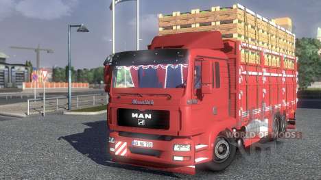 MAN TGL Camion para Euro Truck Simulator 2
