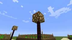 Superior aldeia para Minecraft