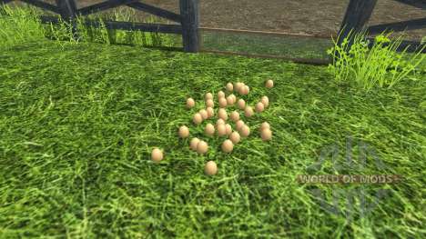 A precisão dos ovos para Farming Simulator 2013
