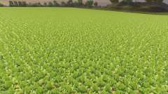A desativação murchando culturas para Farming Simulator 2013