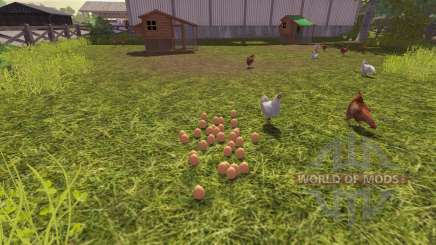 A precisão dos ovos para Farming Simulator 2013