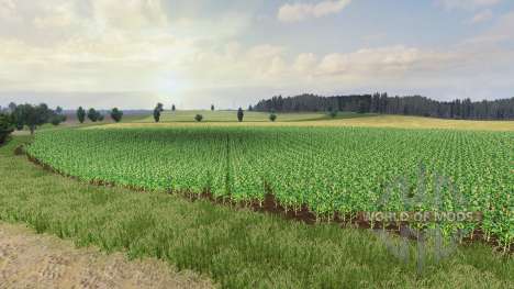 Mapa SEC Borki agro para Farming Simulator 2013