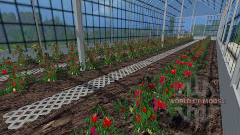 Estufas para tomates e pepinos para Farming Simulator 2015