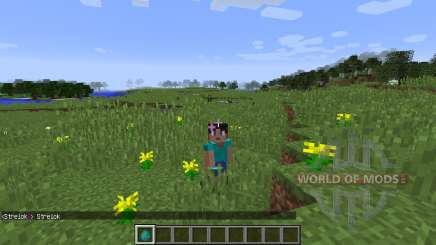 Female Gender Option para Minecraft