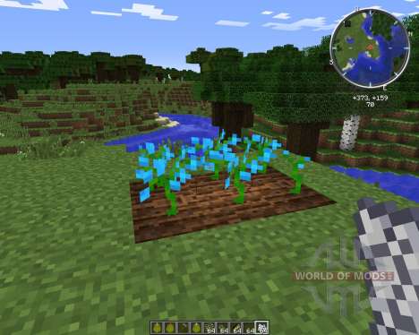 Growing Flowers para Minecraft