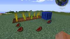 Elemental Melons para Minecraft