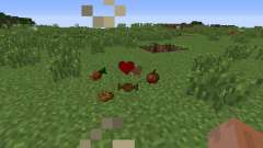 Gods Sacred Items para Minecraft