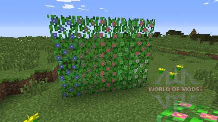 Flowercraft para Minecraft