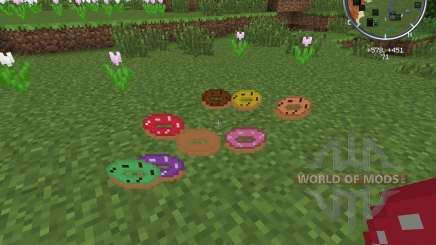 The Donut para Minecraft