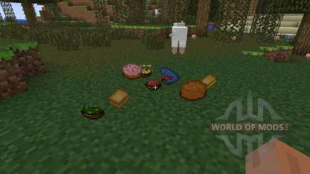 UsefulFood para Minecraft