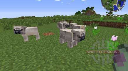 Pug Life para Minecraft