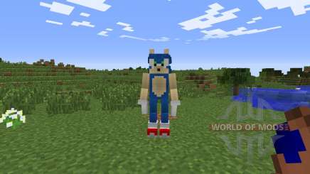 Sonic The Hedgehog para Minecraft