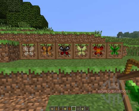 Butterfly Mania [1.6.4] para Minecraft