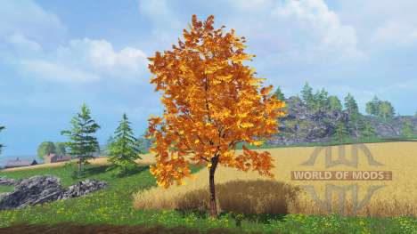 Árvores do outono para Farming Simulator 2015