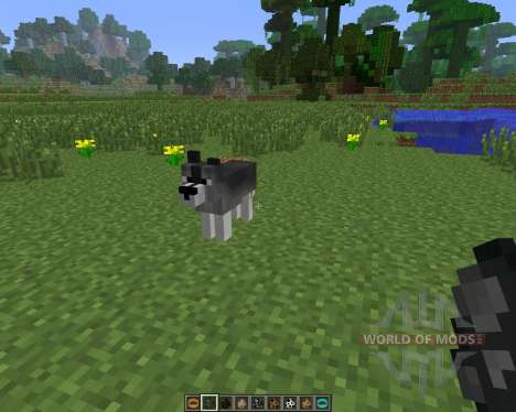 Copious Dogs [1.6.4] para Minecraft