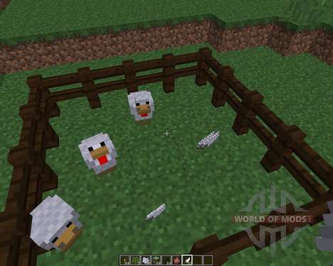 ChickenShed [1.8] para Minecraft