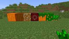 Carrot Dimension [1.6.4] para Minecraft