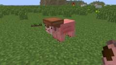 Pig Companion [1.6.4] para Minecraft