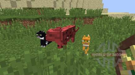 Animal Bikes [1.8] para Minecraft