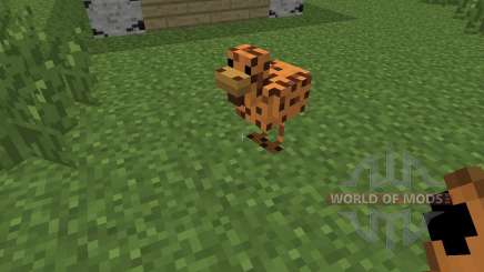 Mo Chickens [1.6.4] para Minecraft