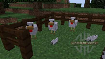 ChickenShed [1.8] para Minecraft