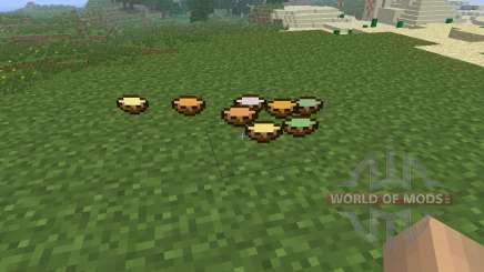 Soup [1.6.4] para Minecraft