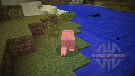 Morphing [1.7.2] para Minecraft