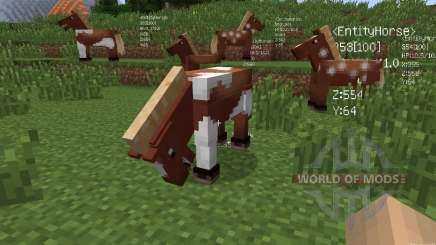 Scouter [1.7.2] para Minecraft