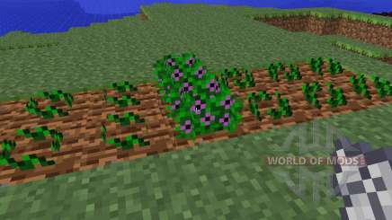 Magical Crops [1.5.2] para Minecraft