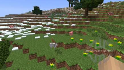 DirectionHUD [1.6.4] para Minecraft