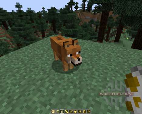 Doge [1.7.2] para Minecraft