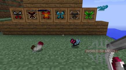 Butterfly Mania [1.6.2] para Minecraft