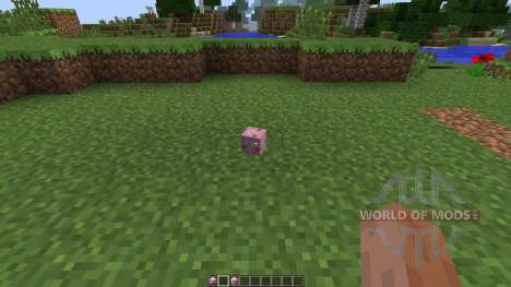 Lucky Block Pink [1.7.10] para Minecraft