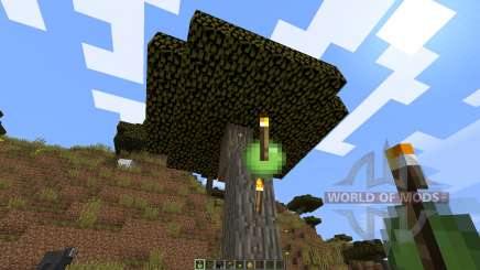 Throwable Torch [1.8] para Minecraft