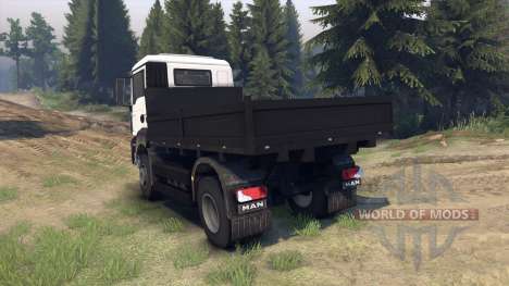 MAN TGS Little Flatbed para Spin Tires