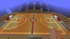 TartTV Centre Basket Ball [1.8][1.8.8] para Minecraft