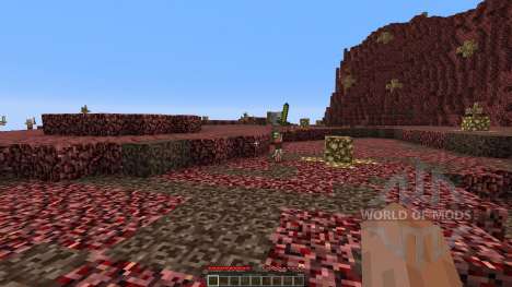 The new nether para Minecraft