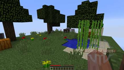 Chunks para Minecraft