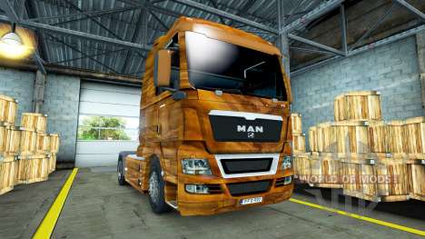 Pele Madeira de Oliveira, sobre o caminhão do HO para Euro Truck Simulator 2
