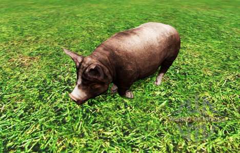 Animals para Farming Simulator 2015