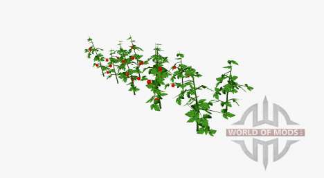 Tomate arbustos para Farming Simulator 2017