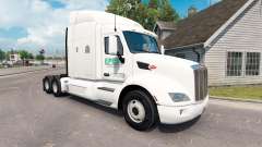 Epes Transporte de pele para o caminhão Peterbilt 579 para American Truck Simulator