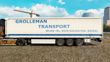 Pele Grolleman de Transporte no semi-reboque cor para Euro Truck Simulator 2