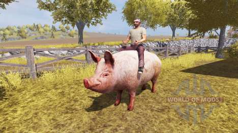 Porco v2.0 para Farming Simulator 2013