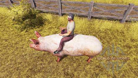 Porco v2.0 para Farming Simulator 2013
