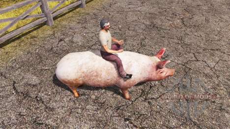 Porco para Farming Simulator 2013