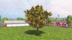 Fruit and berry trees v0.9 para Farming Simulator 2015